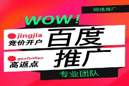 百度竞价账户托管成功案例分享
